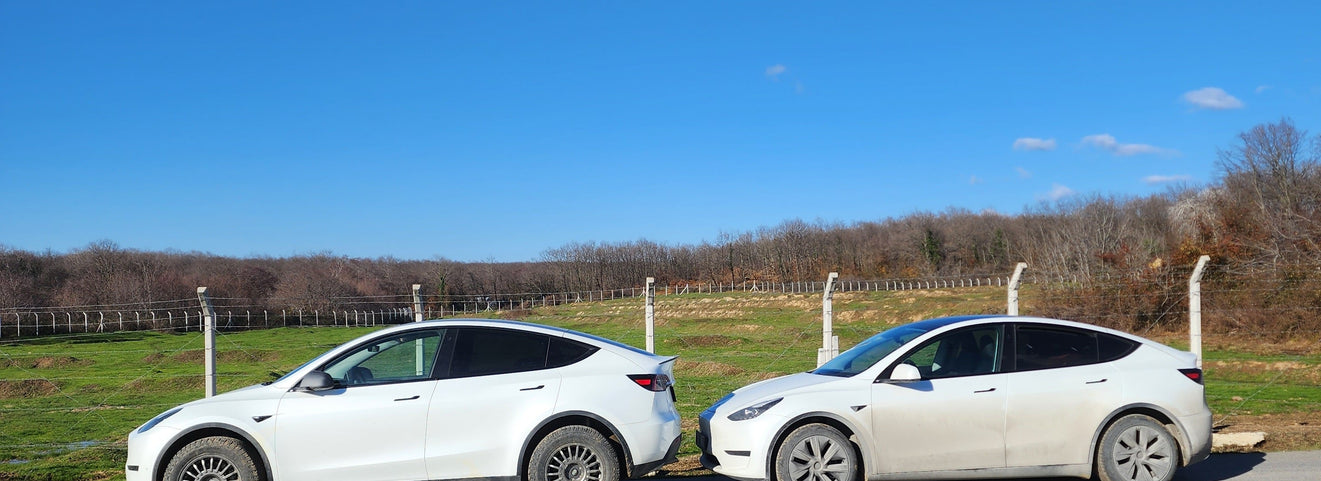 Can a Tesla Go Off-Road? Real Tesla Model Y Off-Road Test