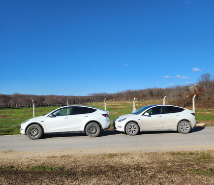 Can a Tesla Go Off-Road? Real Tesla Model Y Off-Road Test